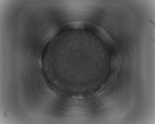 X0000097850748200803141217