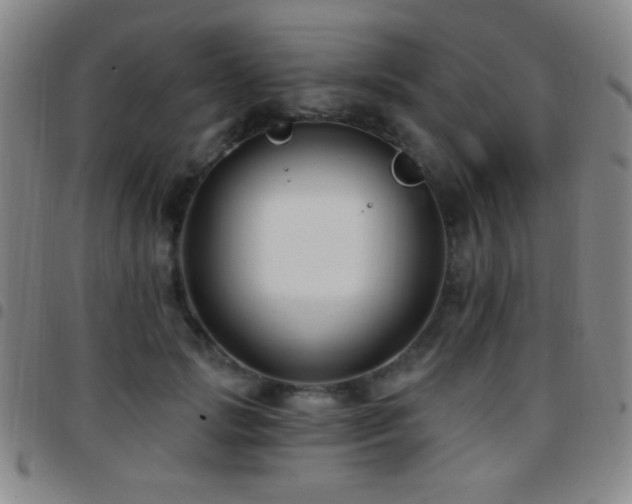 X0000097850749200803141217