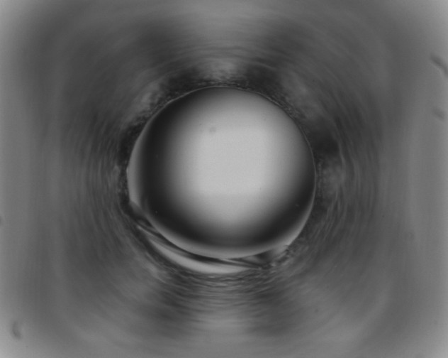 X0000097850750200803141217