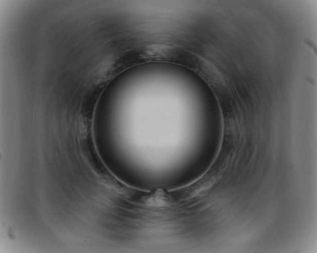 X0000097850751200803141217