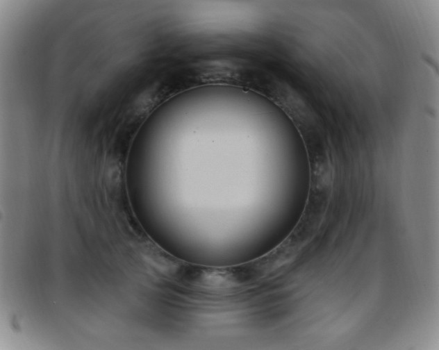 X0000097850753200803141217