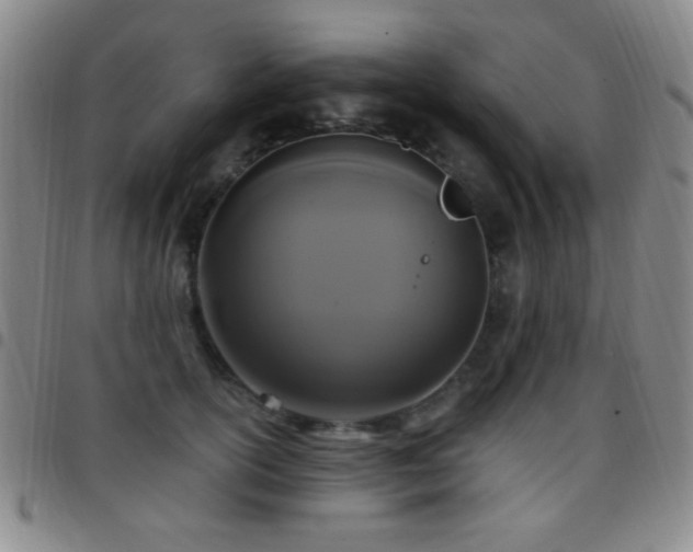 X0000097850754200803141217