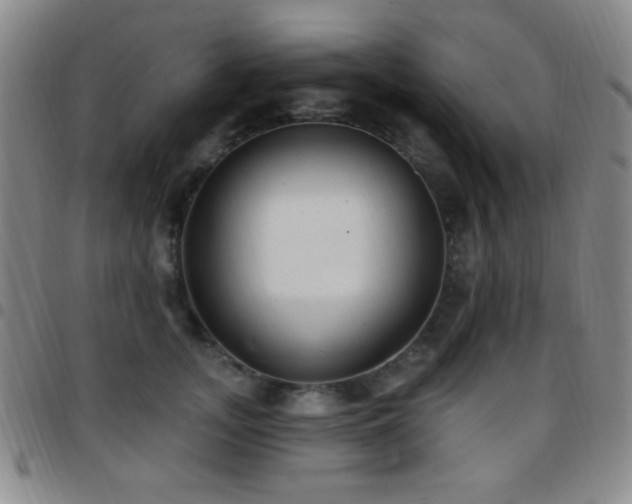 X0000097850755200803141217