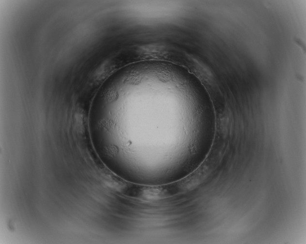 X0000097850757200803141217