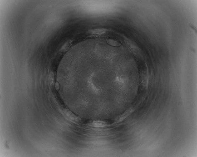 X0000097850758200803141217