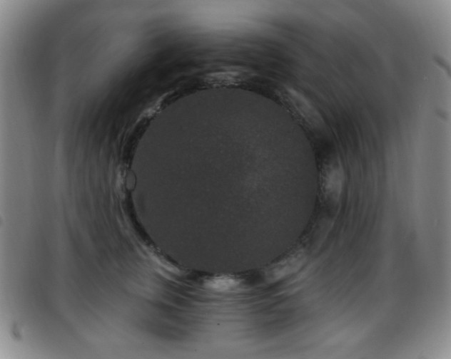 X0000097850759200803141217
