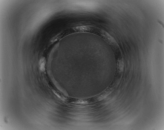X0000097850760200803141217