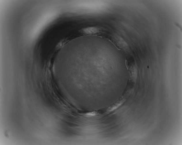 X0000097850762200803141217