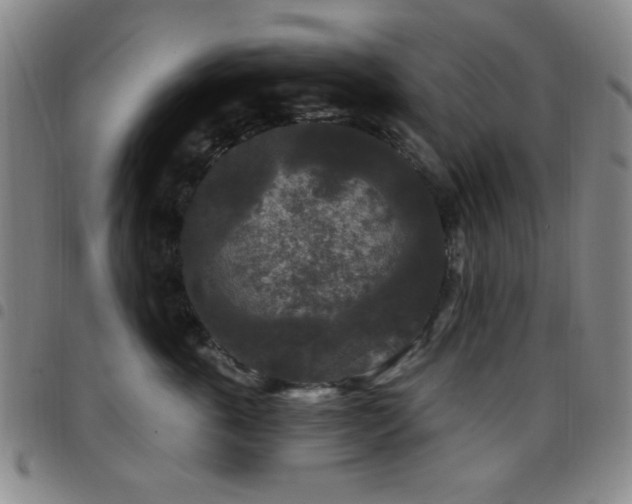 X0000097850763200803141217