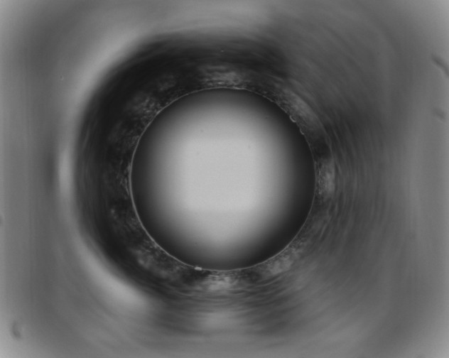 X0000097850764200803141217