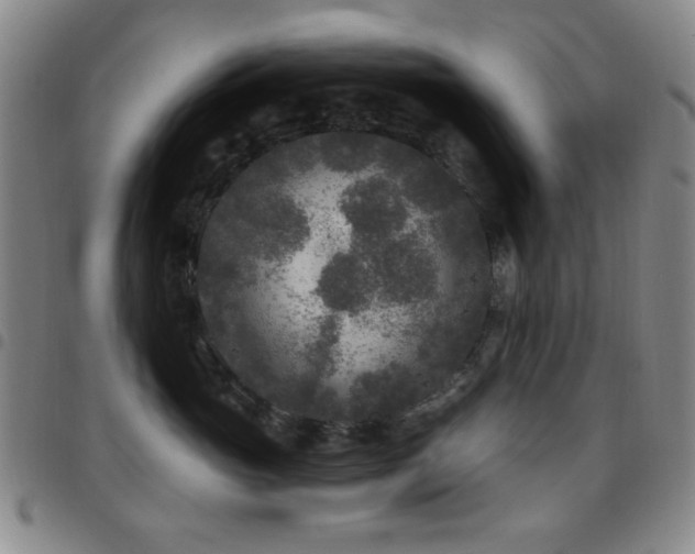 X0000097850765200803141217