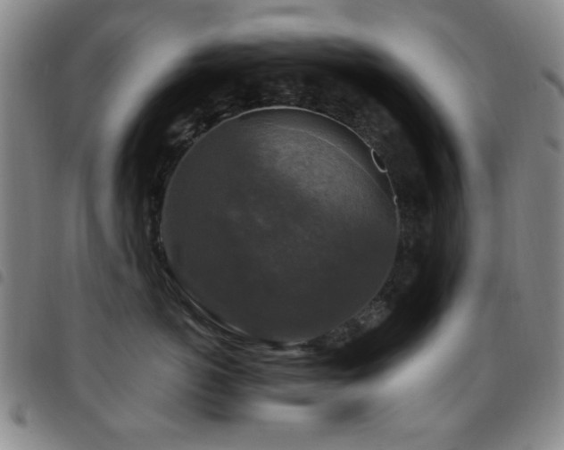 X0000097850766200803141217