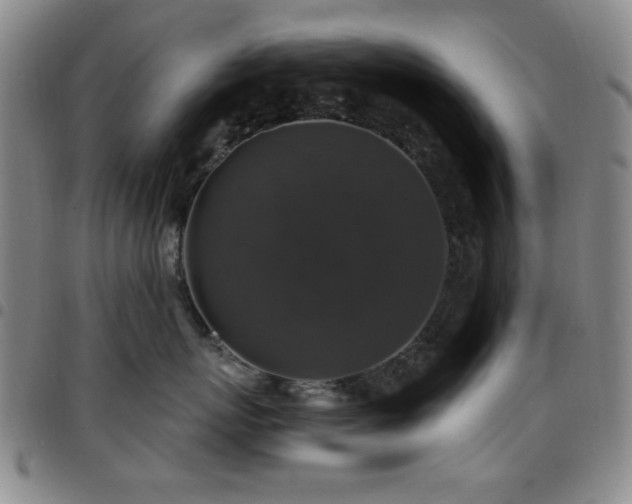 X0000097850767200803141217