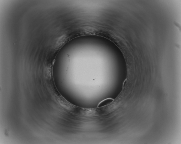 X0000097850768200803141217