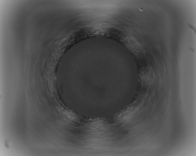 X0000097850769200803141216