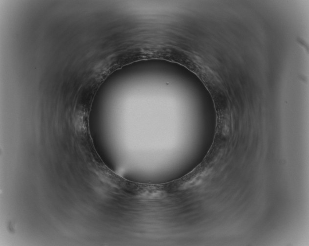 X0000097850770200803141216