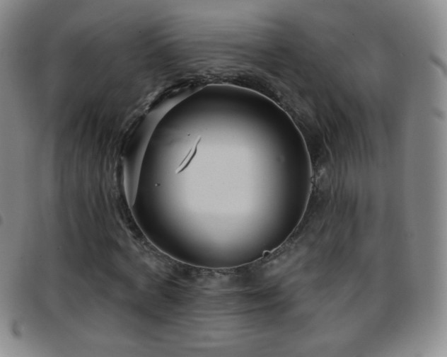 X0000097850772200803141216