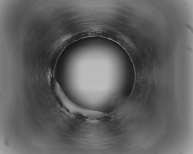 X0000097850773200803141216