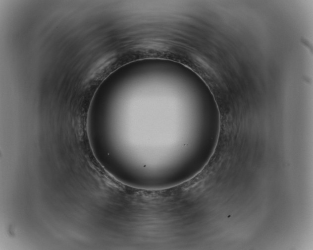 X0000097850774200803141216