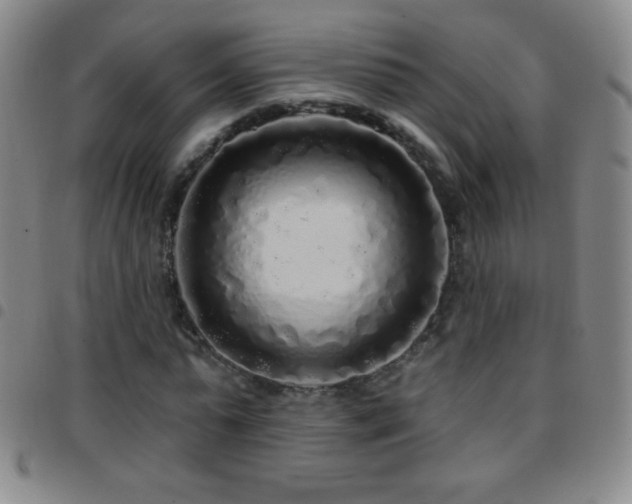 X0000097850775200803141216