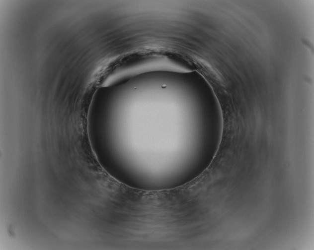 X0000097850776200803141216