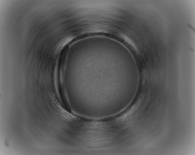 X0000097850777200803141216