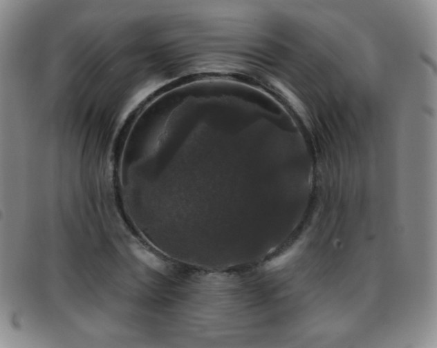 X0000097850779200803141216