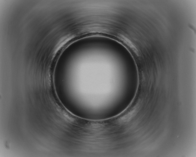 X0000097850782200803141216