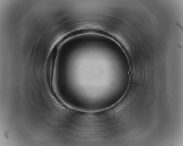 X0000097850783200803141216