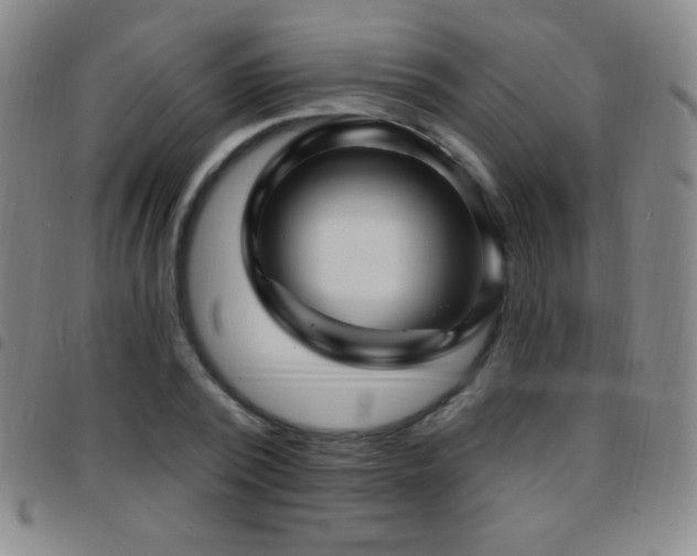 X0000097850784200803141216