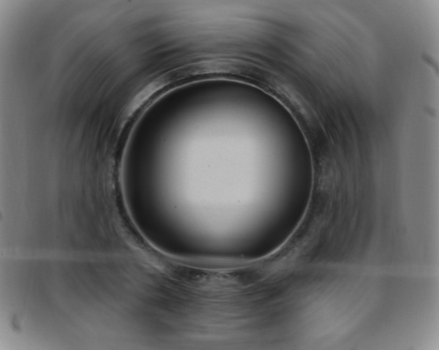 X0000097850786200803141216
