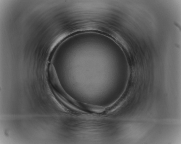 X0000097850789200803141216