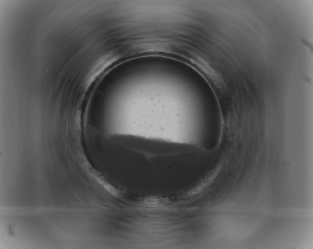 X0000097850790200803141216