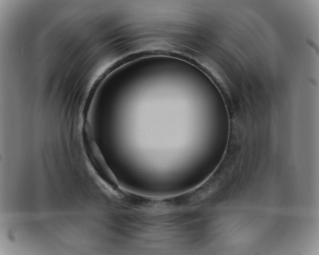 X0000097850791200803141216