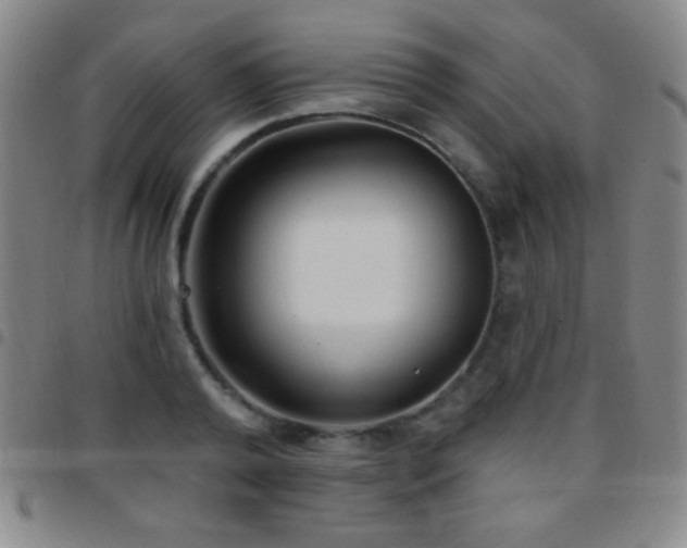 X0000097850792200803141216