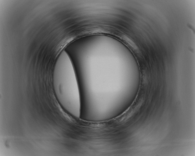 X0000097850793200803141216