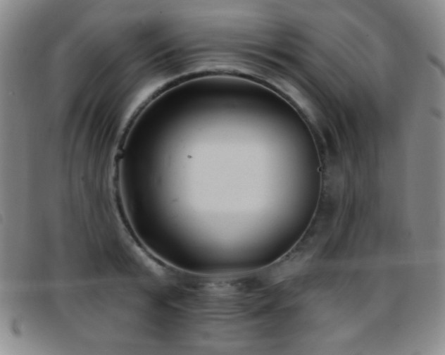 X0000097850799200803141216