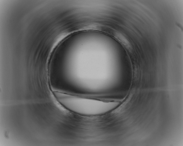 X0000097850800200803141216