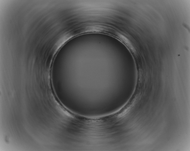 X0000097850802200803141216