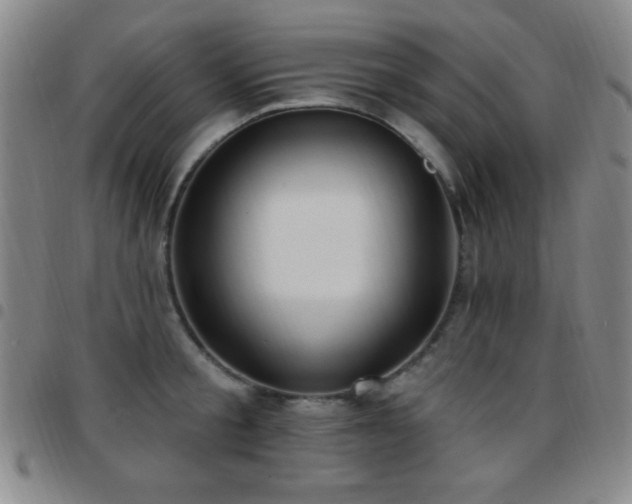 X0000097850805200803141216