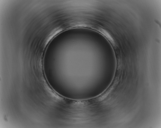 X0000097850806200803141216