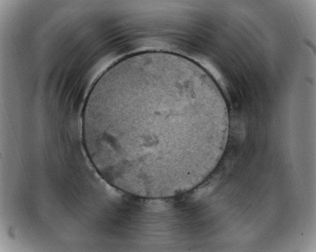X0000097850807200803141216