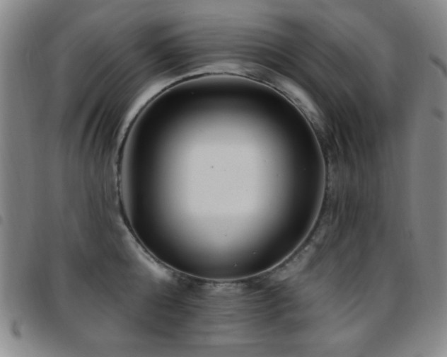 X0000097850808200803141216