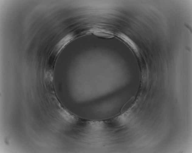 X0000097850809200803141216