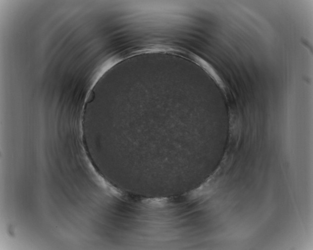 X0000097850810200803141216