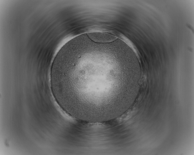 X0000097850811200803141216
