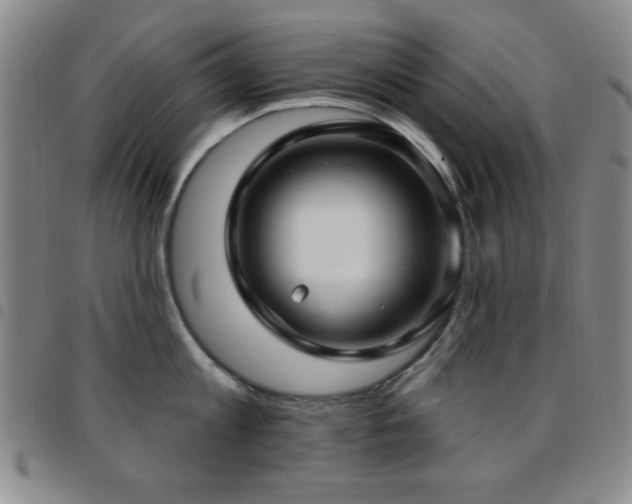 X0000097850813200803141216