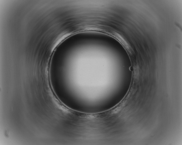 X0000097850814200803141216