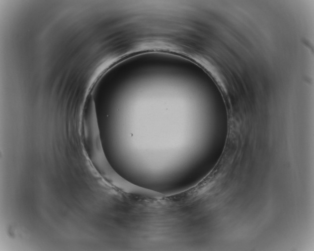 X0000097850815200803141216