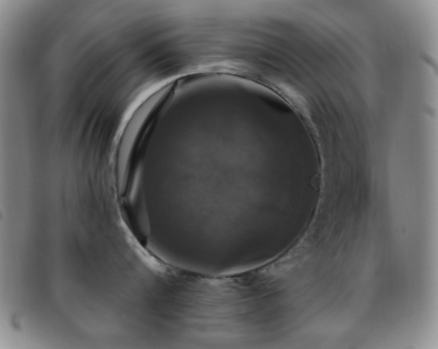 X0000097850816200803141216
